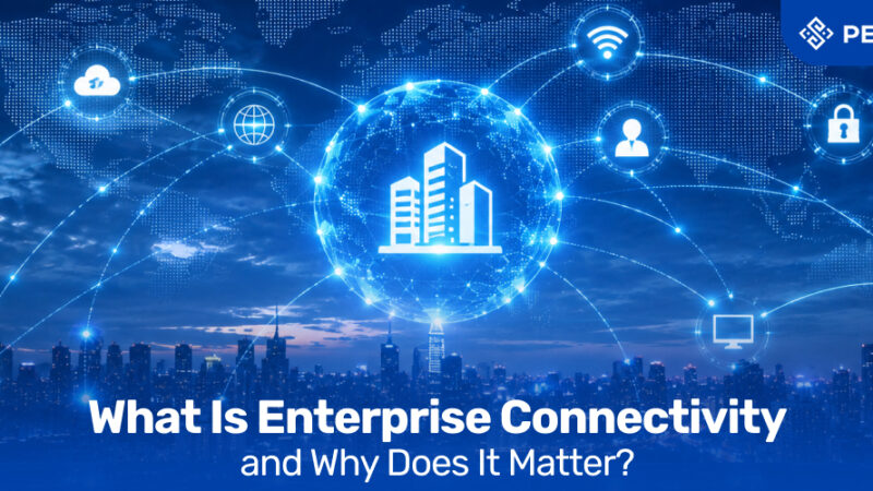 What Is Enterprise Connectivity