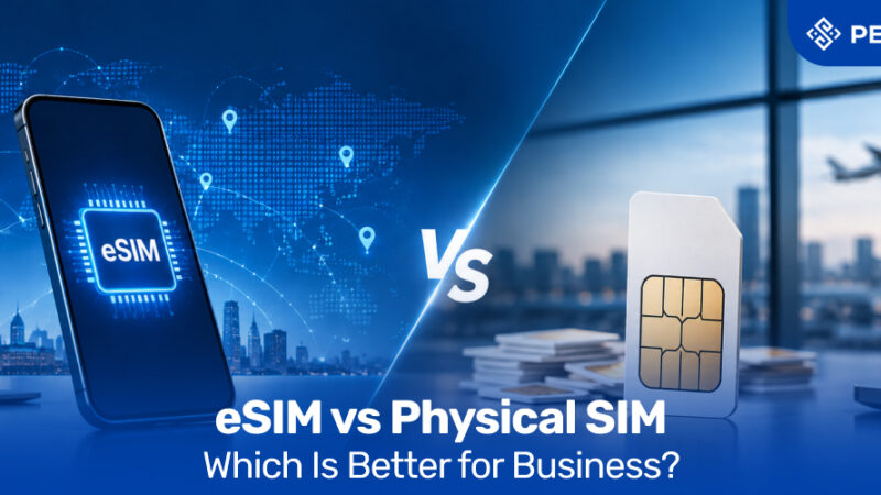 esim vs physical sim